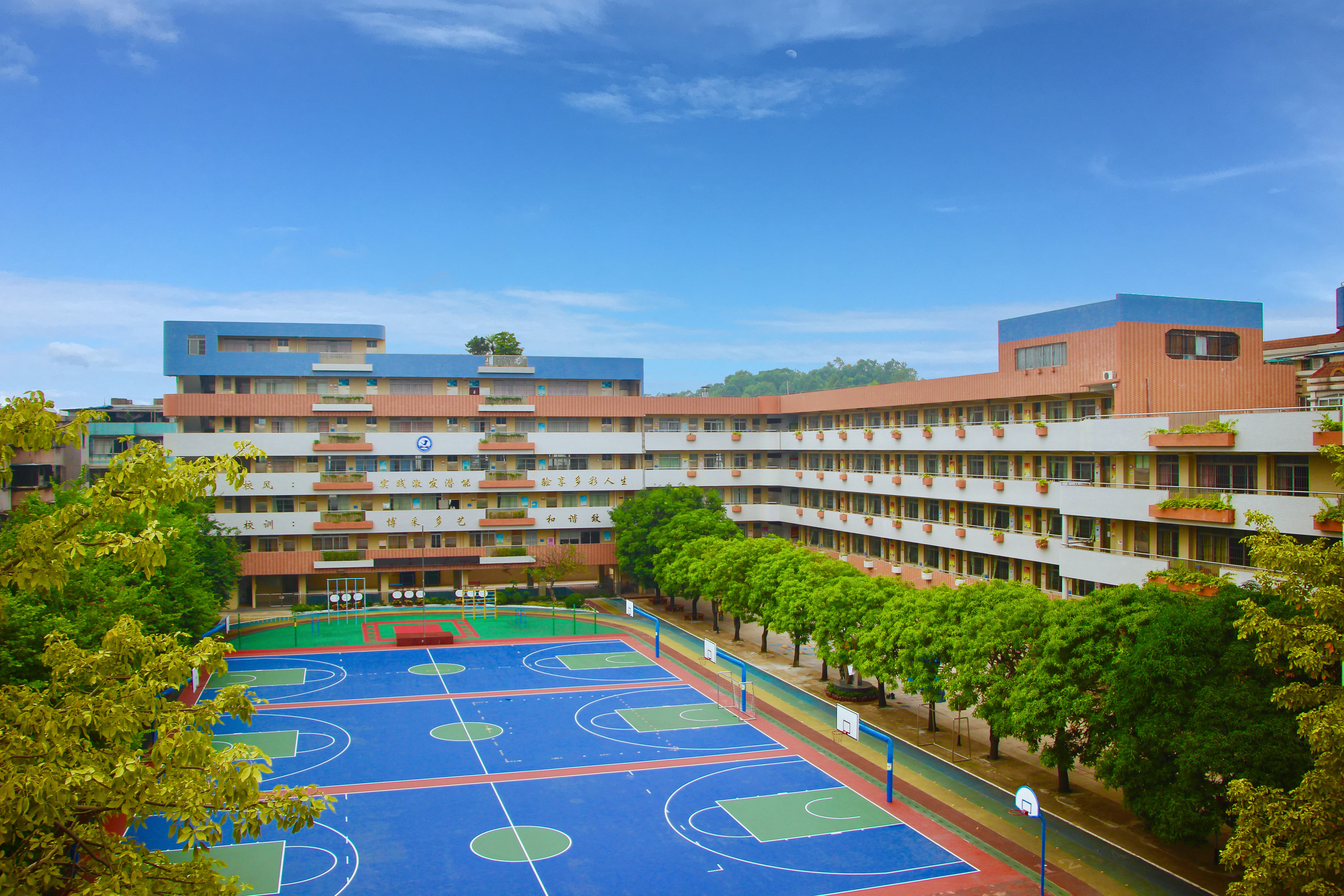 江門市實(shí)驗(yàn)小學(xué)照片.jpg
