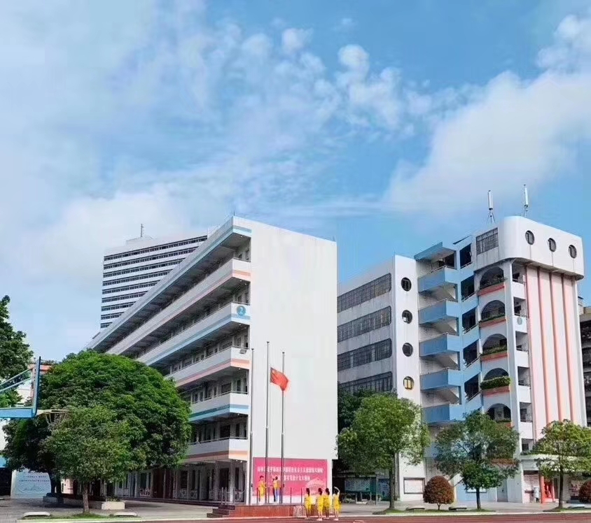 啟明小學(xué)鳥瞰圖.jpg
