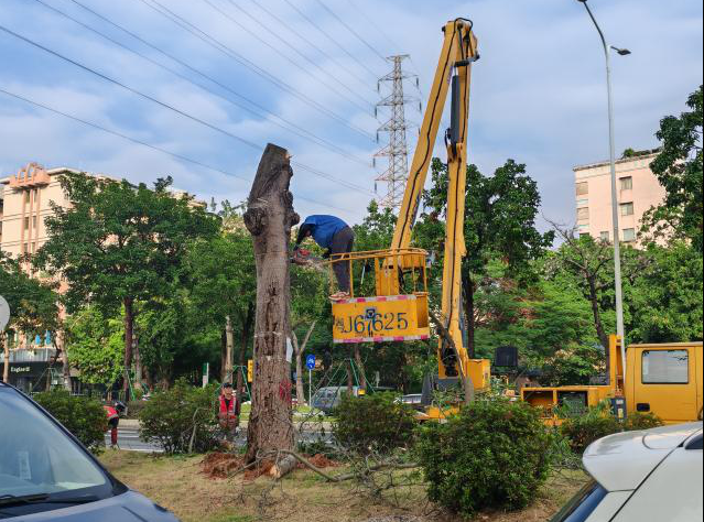 截圖_選擇區(qū)域_20250127091005.png